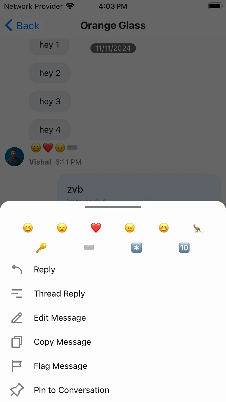 Message Reaction Picker customization